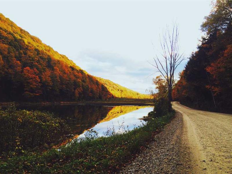 Patagonia Winter Jacket, Size S