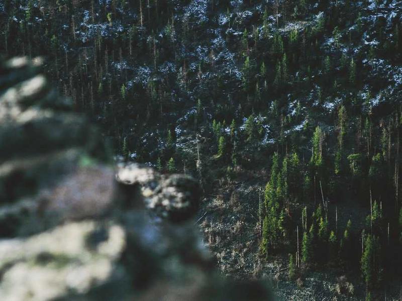 North Face Sneakers, Size L